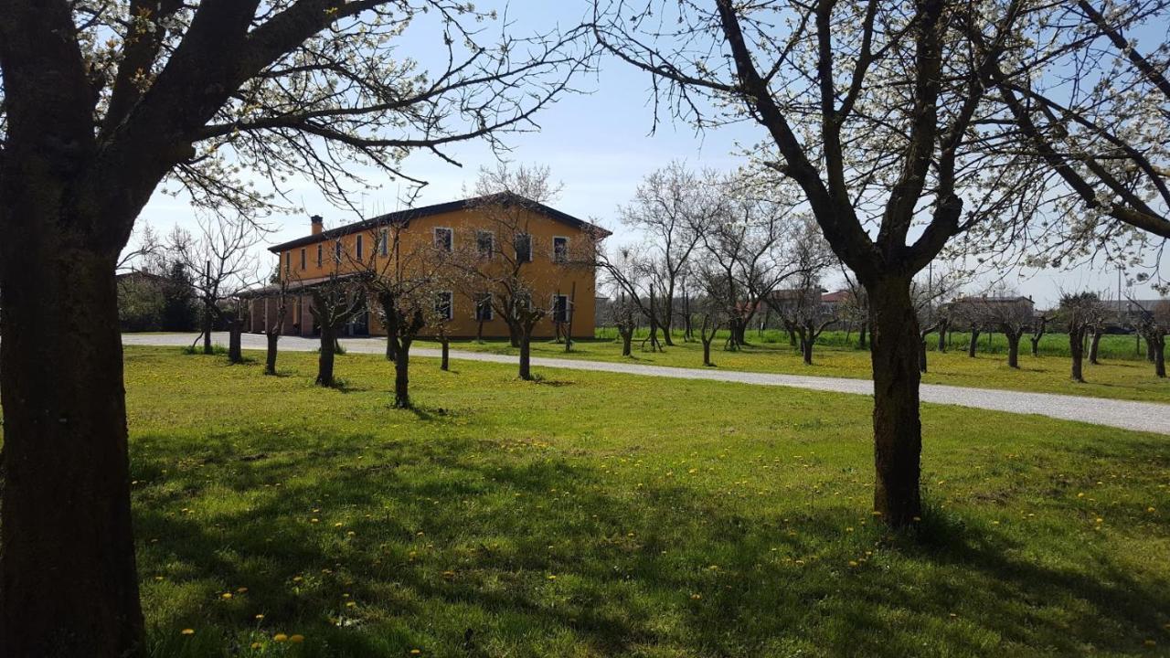 Agriturismo Borgo Borromeo Rubano Dış mekan fotoğraf